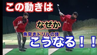 【必見！！】本邦初公開！？魚突きドリル®︎のチェックポイント✋