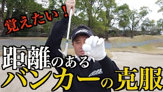 距離のあるバンカーの打ち方 ＃ヨコシンゴルフレッスン