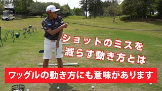 ワッグルの動きの意味とポイントについてお話します【レッスン】