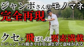 飛ばしのエキスが凝縮！ジャンボ尾崎さん仕草や動きには全て意味がある！利き目が右の人の顔の向き！モノマネで解説！レジェンドの動きを取り入れよう！ 地面反力　カウンター　引き戻し＃ヨコシンゴルフレッスン