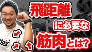 【最新の体づくり】ゴルフの筋力トレーニングで飛距離に1番重要な〇〇をプロが伝授!!【質問大募集】
