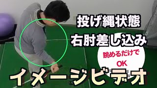 ２重振り子スイング／右肘の差し込み動作、投げ縄状態のイメージ