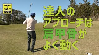 肩甲骨を意識してアプローチしていますか？