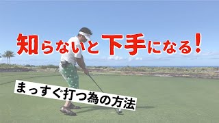 いつもボールをつかまえてまっすぐ飛ばす為の、手打ちではない「同調の方法」〜同調が出来ればいつもちゃんと当たる。昨日は良かった・・・とは、もうサヨナラ〜【みやもと】