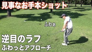 練習ラウンドVol.3　TCP選手権が行われる１週間前にプレーした飯能ゴルフクラブにて☆