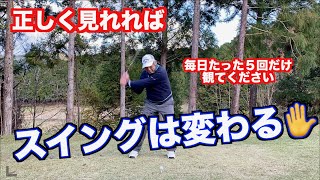 【イメージでスイング改造】毎日５回でスイング脳が変わります✋