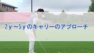 2ｙ～5ｙのキャリーのアプローチ