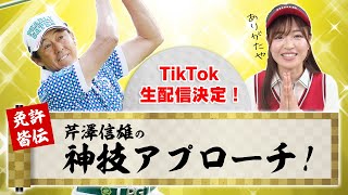 TikTokライブに芹澤プロが登場！神技アプローチを教えてもらいます！！【高橋としみ】【芹澤信雄】