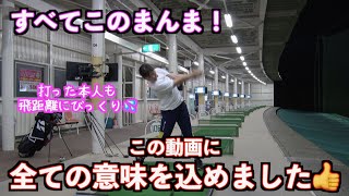 【全部公開！】スイングしている手順を話します！（正面＆スローあり）