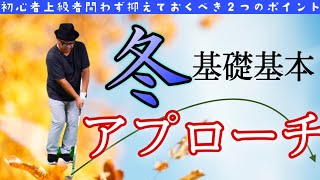 【冬のアプローチ】枯れた芝からバッチリ寄せワン🐕初心者から上級者まで基本2ポイント