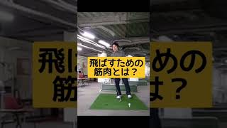 飛ばしの筋肉は脚ではありません