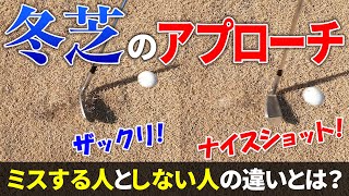 冬の枯れ芝でザックリしない打ち方の解説と練習方法