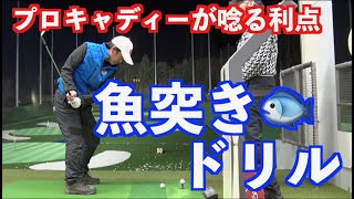 【魚突きドリル🐟】山本道場の代名詞の利点をプロキャディーが解説する！！