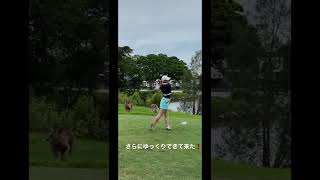 さらにゆっくりしたら飛距離が爆伸び💣