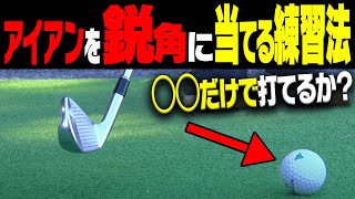 【日本一曲げないプロ】がやっているアイアンで上手く球を捉える打ち方【#2】【稲森佑貴】【レッスン】【かえで】