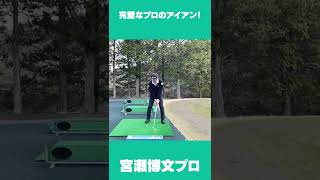【詳細は動画で】一切の無駄がないスイング！宮瀬博文プロのアイアンショット #Short #ゴルフ #アイアン #golf