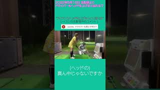 【1分レッスン】ドライバーは●●して構えると超真っ直ぐ飛ぶ！？ #shorts #golf #ゴルフ #ドライバー