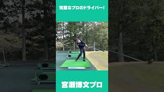 【詳細はチャンネルへ】ず〜っと観てられる！宮瀬博文プロのドライバーショット #shorts #golf #ゴルフ #ドライバー
