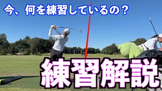 【新企画】今、やっている練習を師範が解説してみた‼️〈いつき編〉