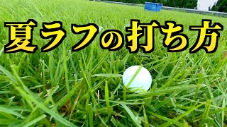 『夏の敵は暑さだけではない』伸び切った夏ラフを制する方法