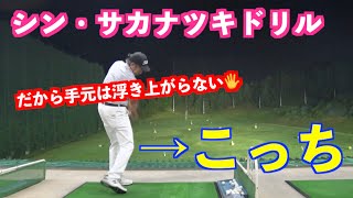 サカナツキ・長いクラブ