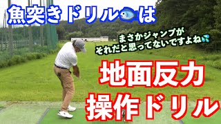 【永久保存版】ついに魚突きドリルと地面反力について話します✋