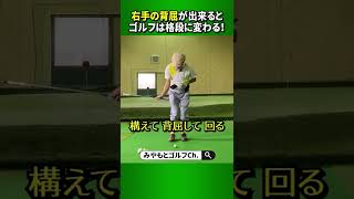 右手を上手く使えればゴルフは一変する！そのための右手の片手打ちの練習 #Shorts