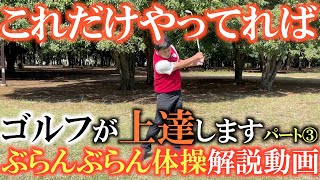 【ぶらんぶらん体操説明動画③】これだけやれば実際にゴルフは上達する！？　ぶらんぶらん体操の歌詞に込められた意味を説明しながら動きを解説します！　＃ぶらんぶらん体操