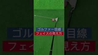 ゴルファー目線(フェイスの見え方)