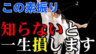 一つの事で８つの事が手に入る！何か一つだけといえばコレやります！！連続素振りのゴルフ上達方法　HARADAGOLFゴルフは飛ばしでうまくなる＃２０