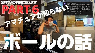 アマチュアが知らないボールの真実【宮城さんが質問に答えてくれました⑥】