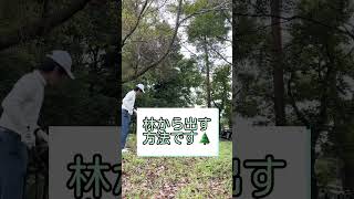 林から脱出する方法とは？