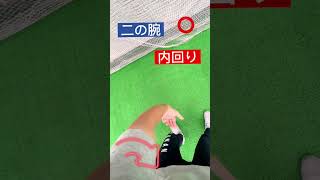 ゴルファー目線(ダウンスイング)左腕