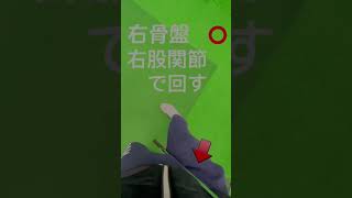 ゴルファー目線(股関節の見え方)