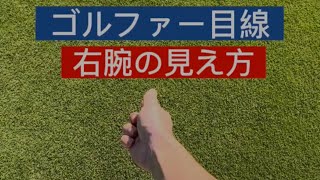 ゴルファー目線(右腕の見え方)