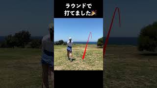 恐ろしい逆風で低い球を打ってみた！