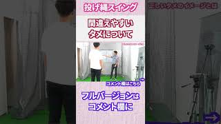 間違えやすい「タメ」について