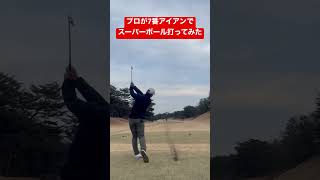 飛ぶor飛ばない、どっちなんだいアイアン
