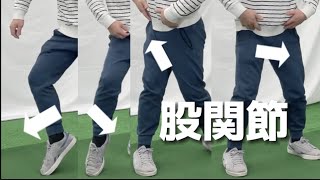 『アマチュアゴルファー専用』【股関節の基本】ゴルフは結構使う