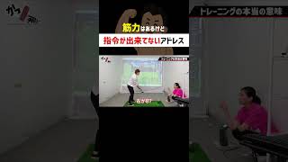 【知っておくべき】ゴルフにおけるトレーニングの意味   #shorts