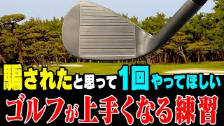 上手い人ほどやっている”あの練習法”の「正しいやり方」を伝授します。【進藤大典】【かえで】【フェニックスメソッド】【ゴルフレッスン】