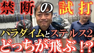 【横田の武器探し③】禁断の試打！？　パラダイムとステルス２はどっちが飛ぶの！？　業界をざわつかせる結果に衝撃が走る！　＃クールクラブス　＃横田の武器探し　＃パラダイム　＃ステルス２