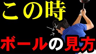 【全ゴルファー対象】正しいボールの見方を徹底解説！！これが出来るとボールに当たり始めます