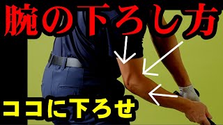 コレ知るだけで芯に当たる！切り返しの腕の下ろし方を覚えよう！！