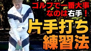 ゴルフが劇的に良くなる！右手の使い方と練習方法を解説！【ゴルフレッスン】【大西翔太のシンプルスイング】【BANDEL】【UUUM GOLF君】