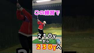 210y→230yへ！ #飛距離アップ #ゴルフ #golf