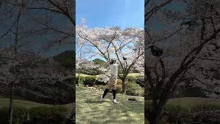 4月といえば桜🌸　#golf #ゴルフ女子 #桜