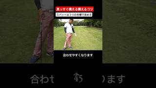 コースでも目標に真っすぐ構えるスパットの取り方 #片山晋呉 #golf #ゴルフ #shorts