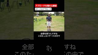 アプローチを極める1ヤードの練習方法 #片山晋呉 #golf #ゴルフ #shorts