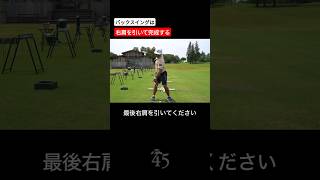 バックスイングは身体の下からのストレッチです #片山晋呉 #golf #ゴルフ #shorts